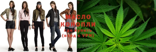 индика Козловка