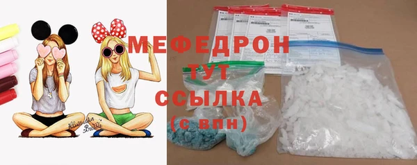 индика Козловка