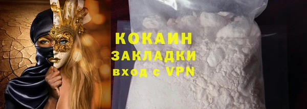 индика Козловка
