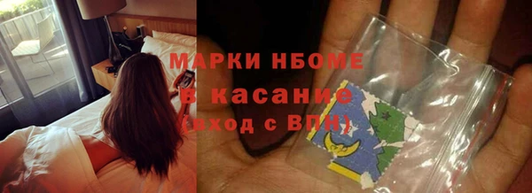 индика Козловка