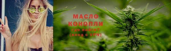 индика Козловка