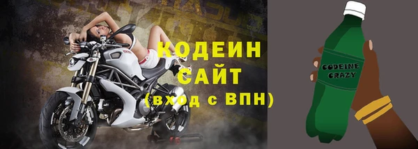 индика Козловка