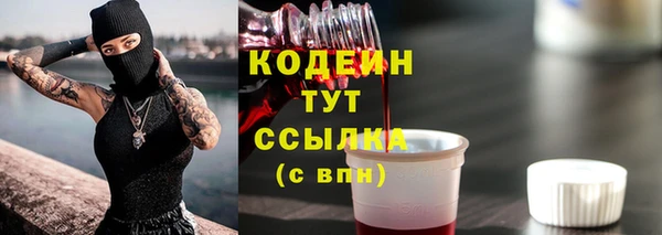 индика Козловка