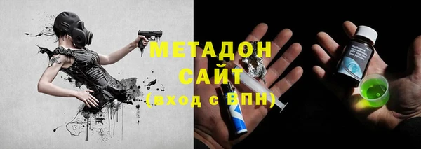 индика Козловка