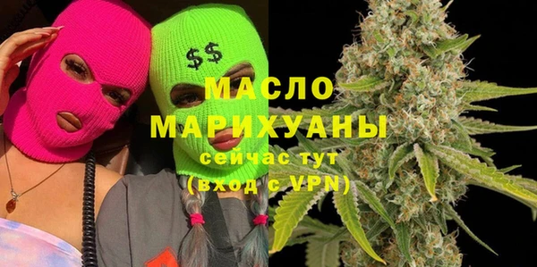 индика Козловка