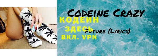 индика Козловка