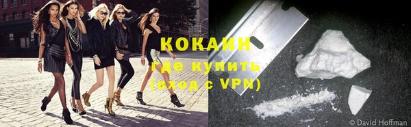 индика Козловка
