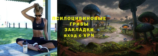 прущие крисы Козельск