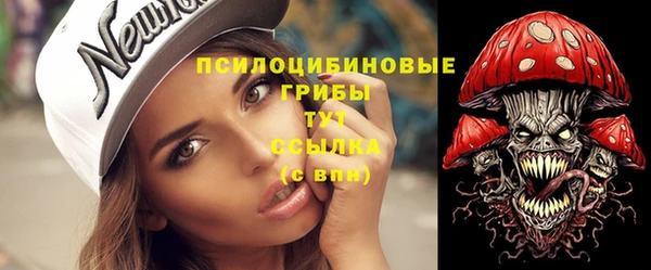 индика Козловка