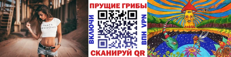 Псилоцибиновые грибы мицелий  Купить закладки  Белореченск 